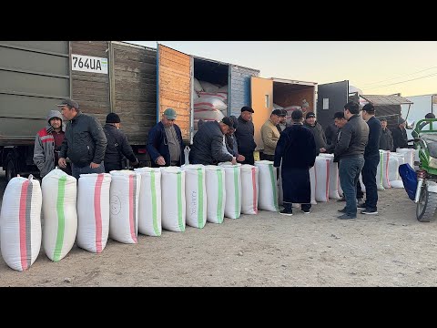 Видео: ХОРАЗМ ОПТОМ ГУРУЧ БОЗОРИ 11-НОЯБР ЯНГИ НАРХЛАР !!! ХОРАЗМ БОЗОР