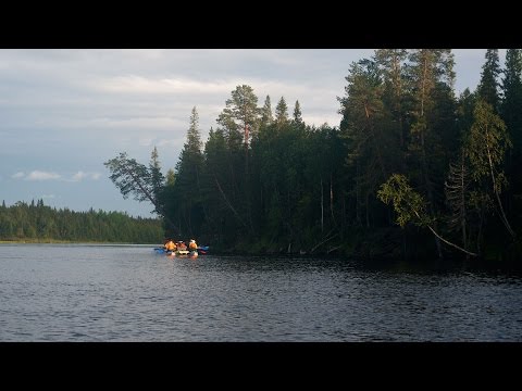 Видео: Сплав по реке Умба с выходом в Белое море