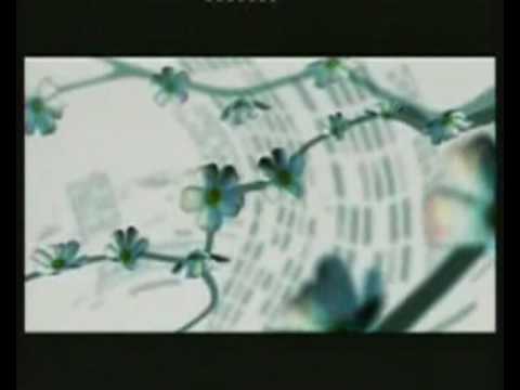 Видео: JSC - Жизнь Была бы Сказкой