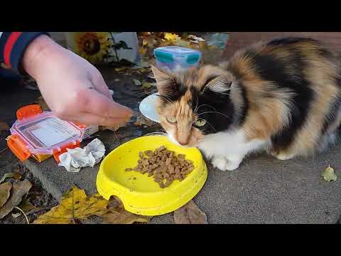 Видео: Одинокая Мать Ждала Покушать! 🔥