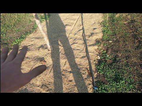 Видео: Меньше поливаю, отказываюсь от гербицидов и рыхлений. Вредители не окукливаются!!! Бережливый полив.