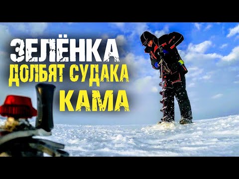 Видео: Как долбят судака на Зелёнке река Кама 2022. Вечерний выход.