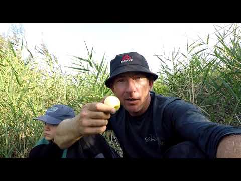 Видео: ОХОТА НА ОГРОМНОГО БЕЛОГО АМУРА С БОКОВЫМ КИВКОМ