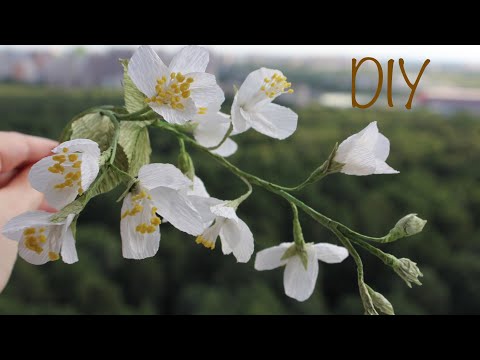 Видео: Жасмин / Цветы из бумаги / DIY Crepe paper flowers
