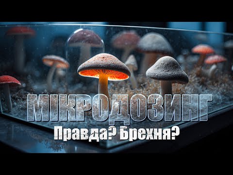 Видео: Мікродозинг психоделіками, або найбільша брехня 21 століття