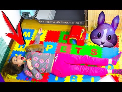 Видео: КОМНАТА ПИТОМЦЕВ РУМ ТУР - КРОЛИК И СОБАКА | Elli Di Pets