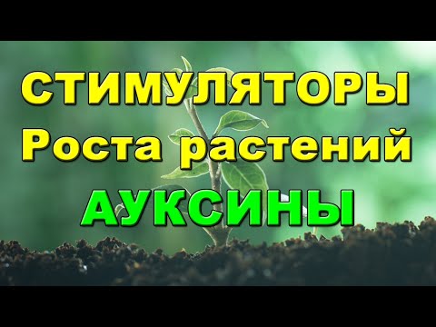 Видео: СТИМУЛЯТОРЫ РОСТА РАСТЕНИЙ АУКСИНЫ. Всегда хороший урожай!