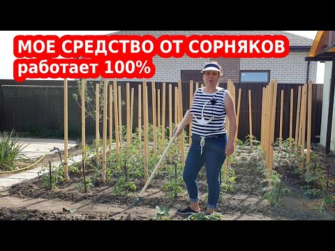Видео: ЛУЧШЕЕ СРЕДСТВО ОТ СОРНЯКОВ. Как удалить сорняки с огорода без химии
