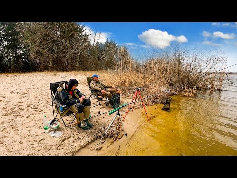 Видео: Рыбалка! ПУЛЕМЁТ ПЛОТВЫ на ФИДЕР ВЕСНОЙ!!!