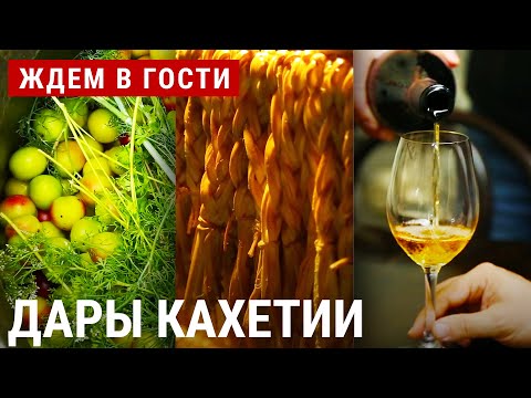 Видео: Винный маршрут Кахетии | ЖДЁМ В ГОСТИ