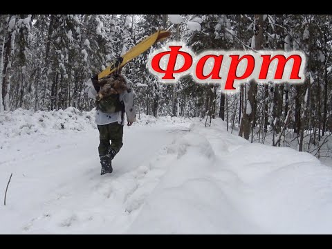 Видео: Куница за куницей// Ночую в лесной избе// Промысел