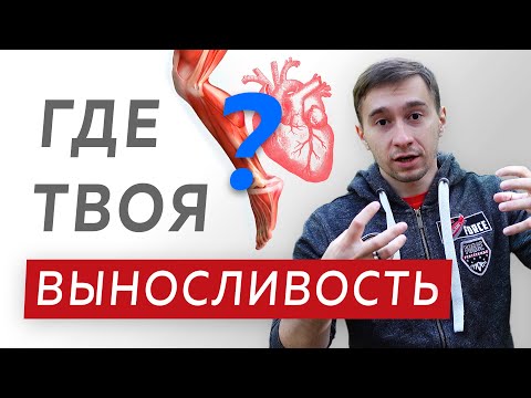 Видео: Выносливость в беге - От чего зависит и как развить?