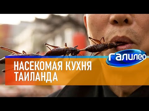 Видео: Галилео 🕷 Насекомая кухня Таиланда