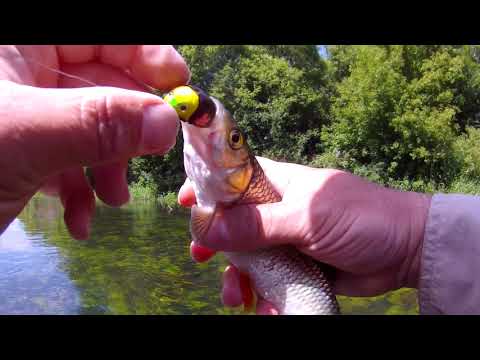 Видео: Стрекоза на удачу и голавль в грозу