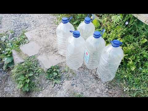 Видео: Смак життя /Первое видео в ютуб.прогулка по зелёному морю..../Квіточка