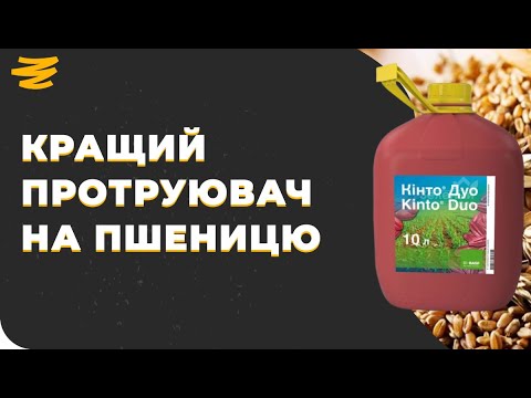 Видео: ТОП ПРОТРУЮВАЧ НА ПШЕНИЦЮ🌾. КІНТО ДУО