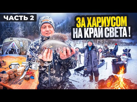 Видео: НАШЛИ ЛОГОВО ХАРИУСА//ИКРА ЛОЖКАМИ// ХАРИУС НА САДЖЕ//ТАЕЖНАЯ РЕКА РАДУЕТ//ЧАСТЬ2