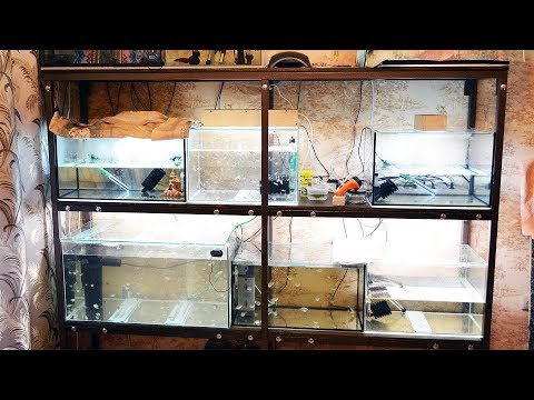 Видео: Обзор разводни