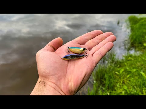 Видео: Воблеры которые ловят КРУПНЯК! И как я в такое МОГ ПОВЕРИТЬ?!