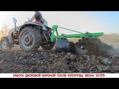 Видео: РАБОТА ДИСКОВОЙ БОРОНОЙ ПОСЛЕ КУКУРУЗЫ, МИНИ ТРАКТОР СКАУТ ТУ 254