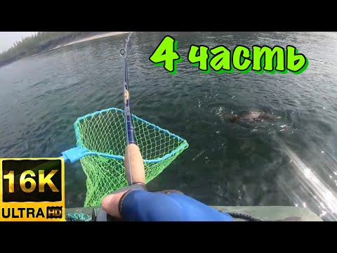 Видео: ☀️ 4 ЧАСТЬ ⛺️ Атака зачетного Тайменя  🦟 ⛺️готовим еду на костре🔥поймали хорошую ЛИМБУ на мышь🎣🚤