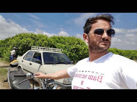 Видео: 🇹🇷 Наша жизнь в Силифке / Фермерское Хозяйство / Мерсин