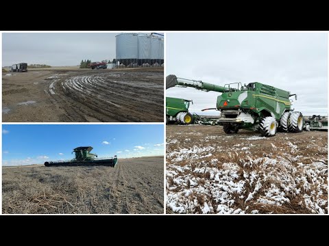 Видео: Обновление урожая
