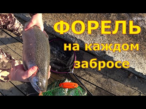 Видео: Рыбалка на форель Лёд еще не встал а порыбачить хочется    #рыбалка, #IceHouse