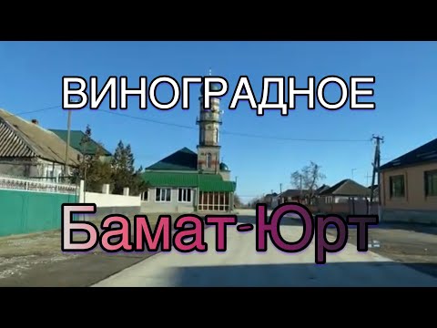 Видео: Виноградное