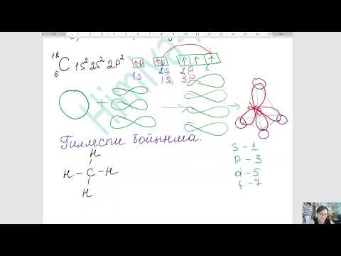 Видео: Алкандар 10 сынып ЖМБ 28.02.2025  №4МГ,Сайрам ауданы Абубакирова Ф.А.