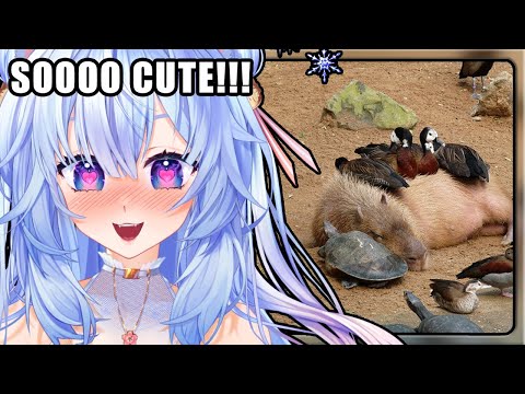 Видео: БОЛЬШЕ ДОРОГОЙ МАЛЫШЕЙ!!! | Реакция Мифую на 10 самых полезных животных (по моему очень предвзято...