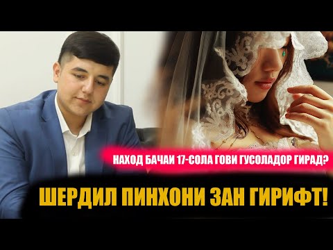 Видео: Шердил айб нест туда, ки гови гусоладор гирифтӣ!