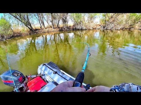 Видео: УДОЧКА В ДУГУ...! ПРОВЕРИЛ ЗАВАЛЫ КОРЯГ  И...! Открыл летний сезон рыбалки.