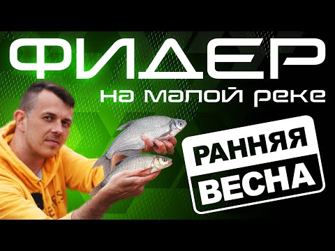 Видео: Фидер на малой реке / Открытие сезона 2022 / Fros Fishing
