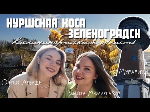 Видео: Влог из Калининграда: Зеленоградск, Куршская коса, Мурариум, ресторан Балт, кафе Круассан, Крендель