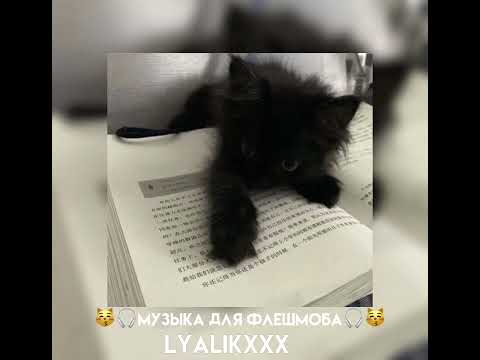 Видео: ВИДЕО ДЛЯ ФЛЕШМОБА!!!!❤️💋🎧😽