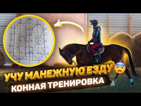 Видео: Учу манежную езду / КОННАЯ ТРЕНИРОВКА