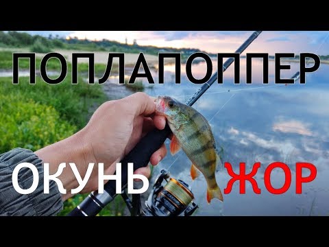 Видео: НА ЭТУ ПРИМАНКУ РЕАЛЬНО ПОЙМАТЬ ВЕДРО ОКУНЕЙ | Ловля на ПОПЛАПОППЕР - Рыбалка со stigan'ом