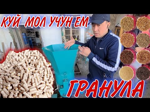 Видео: КУЙ, МОЛ, БУРУЛЛЕР, УЧУН ЕМ ТАЙОРЛАШ ГРАНУЛА ЕМИ