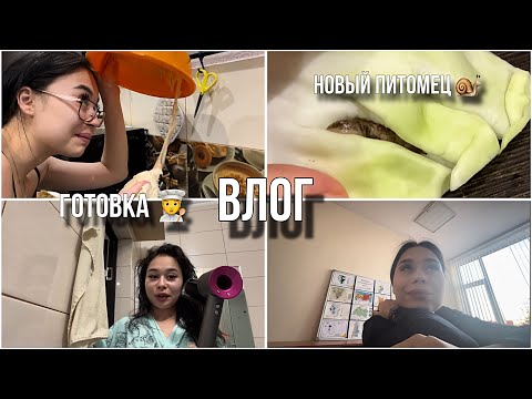 Видео: влог//готовим ужин с парнем 🥘💗// мои покупки 🛍️// мне грустно😞 …