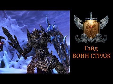 Видео: Гайд Воин страж //Neverwinter online Мод.11