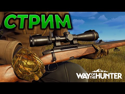 Видео: WAY OF THE HUNTER прохождение ► СТРИМ - КАЧАЮ ЛАБАЗ ► Симулятор охоты ► RTX 4090