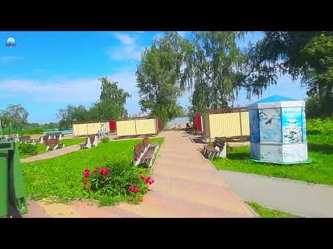 Видео: Бугринский пляж. Проход через парк. Новосибирск. 26.06.24.