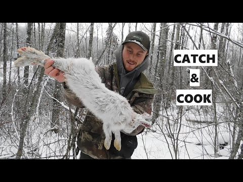 Видео: Поймать и приготовить зайца-снегоступа | .22LR