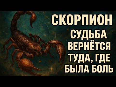 Видео: Скорпион. Судьба заставит тебя вернуться туда, откуда ты хотел навсегда уйти но уже другим человеком