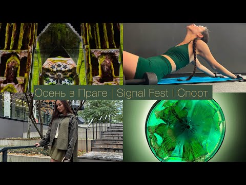 Видео: VLOG : ОСЕНЬ В ПРАГЕ | SIGNAL FEST | СПОРТ