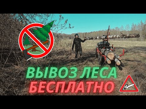 Видео: Вывозим ЛЕС БЕСПЛАТНО!!!!! ТЕСТ-ДРАЙВ САМОДЕЛЬНОГО ПРИЦЕПА ДЛЯ КВАДРОЦИКЛА