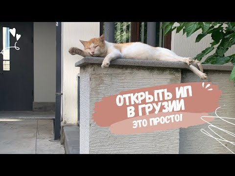 Видео: Как открыть ИП в Грузии без помогаторов