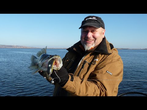 Видео: Ловля Судака на резину.  День 1