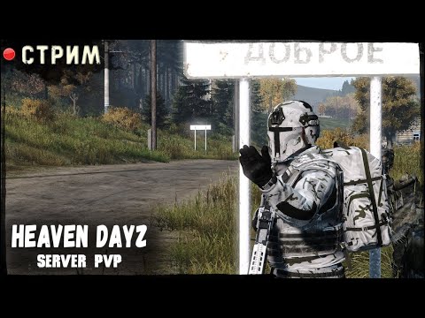 Видео: DAYZ Выживание на Heaven Dayz СРЕДИ ЧУЖИХ #dayz